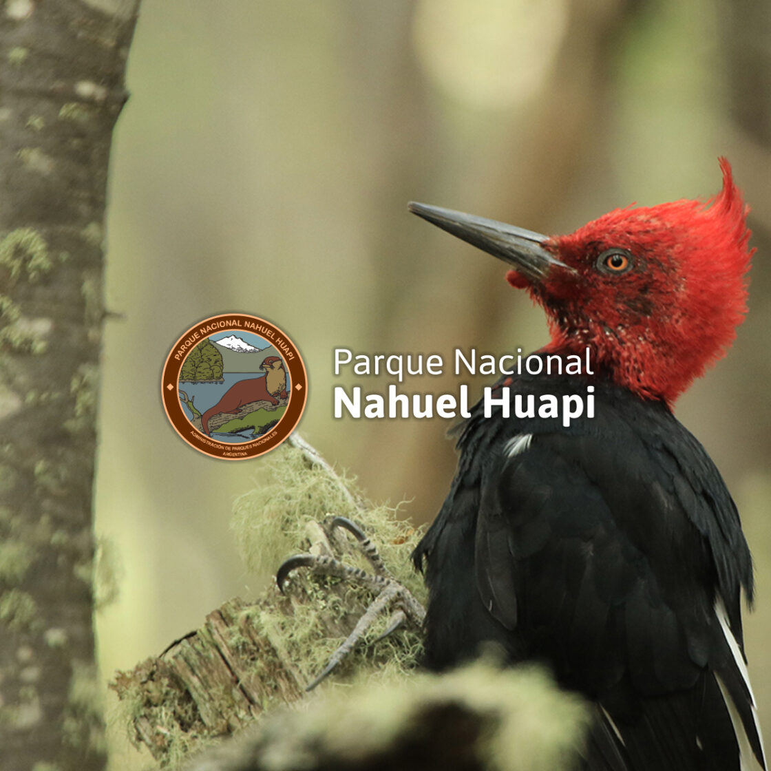 Parque Nacional Hahuel Huapi