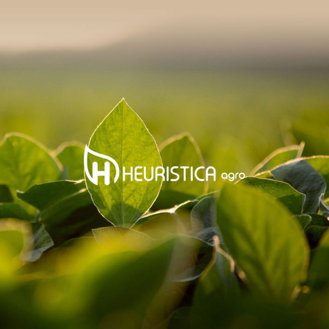 Heurística Agro